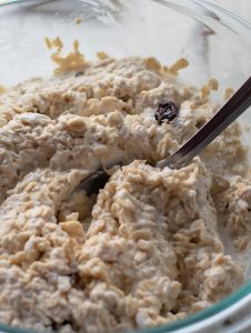 Oats and Raisins soaked in coconut milk for flourless pancakes