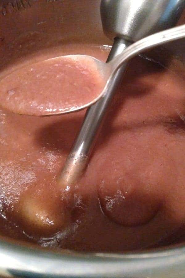 Apple Pluot Butter just blended using immersion stick blender